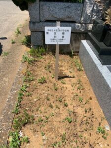 八柱霊園 2025年8月施工事例「桜の彫刻が映える和モダン墓石「色葉」。想いをかたちにした建立」基礎工事1