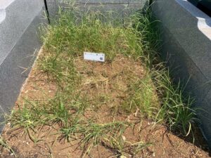 南柏霊園 2025年9月施工事例「生前に想いをかたちに-白い御影石による寿綾墓石の建立」基礎工事01