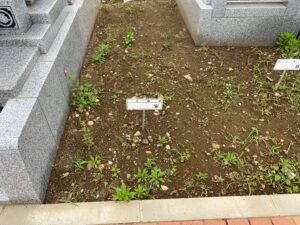 南柏霊園 2026年7月施工事例「シンプルで長く安心してお参りできるお墓を」施工前